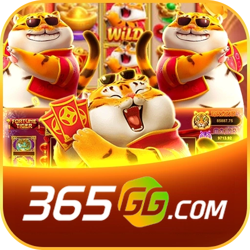 365gg